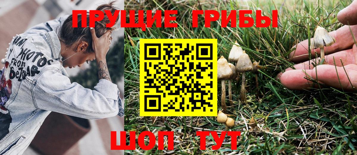 Саров  Псилоцибиновые грибы GOLDEN TEACHER  Вход с VPN 