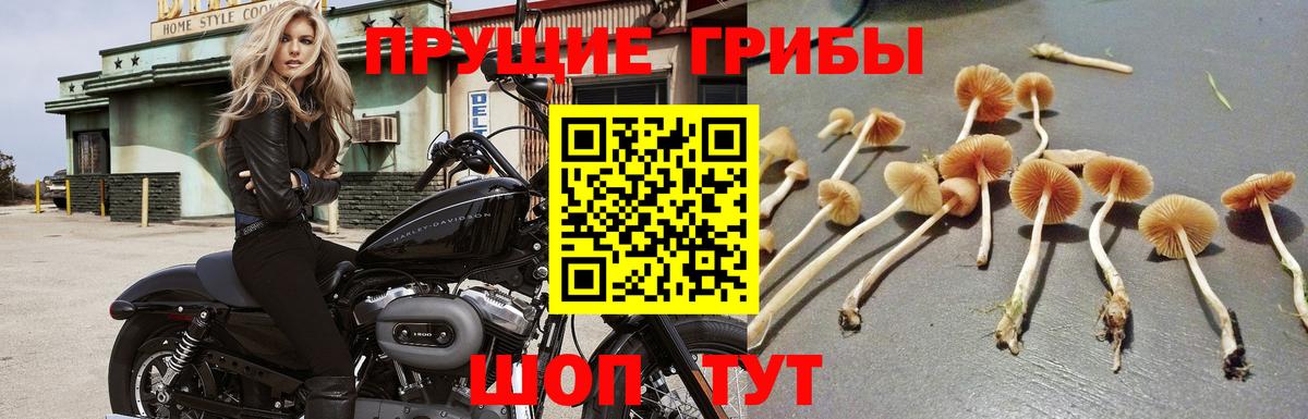 Бошки Шишки  Саров  Вход с VPN  Кокаин  Меф   Купить наркотики цена  ГАШ  ГАШИШ 